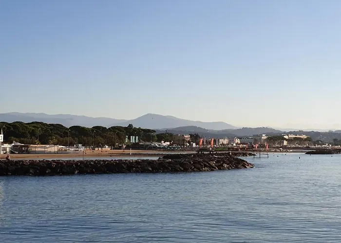 Garden And Beach Sea View Apartment Cannes