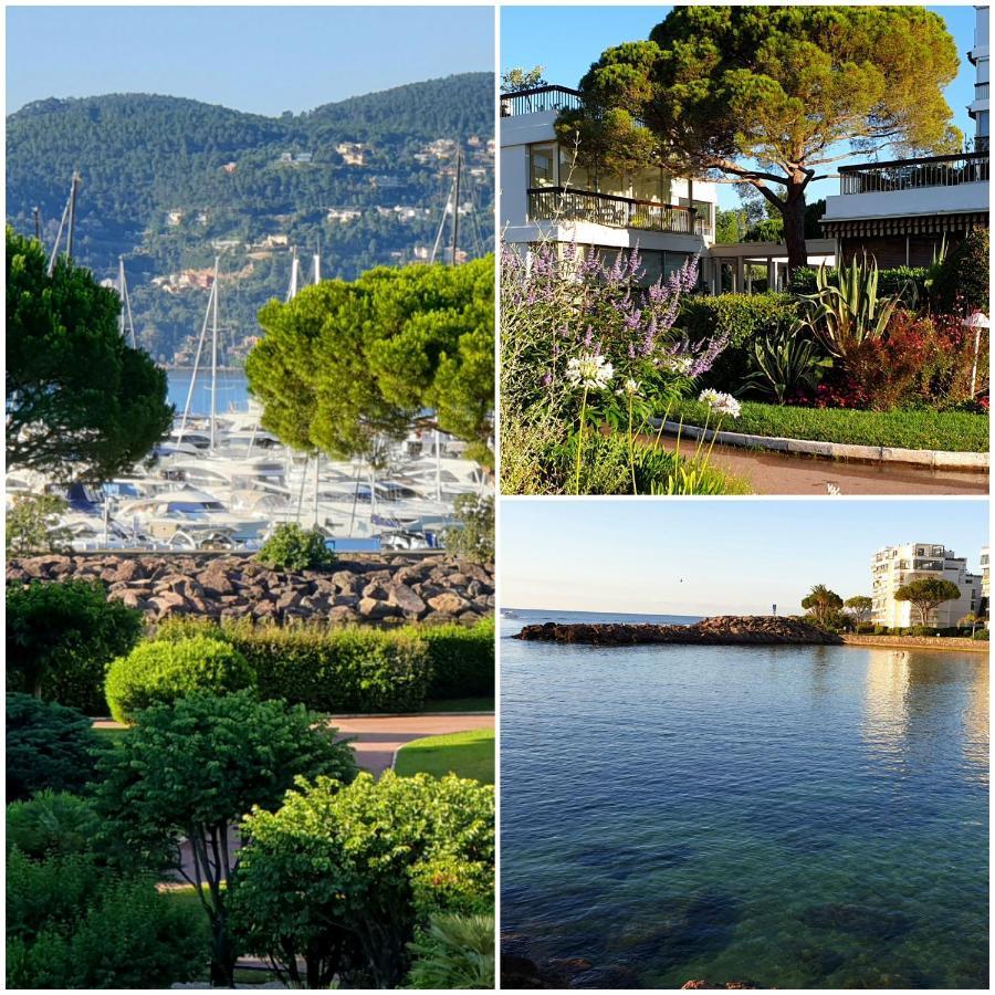 Garden And Sea View Cannes *