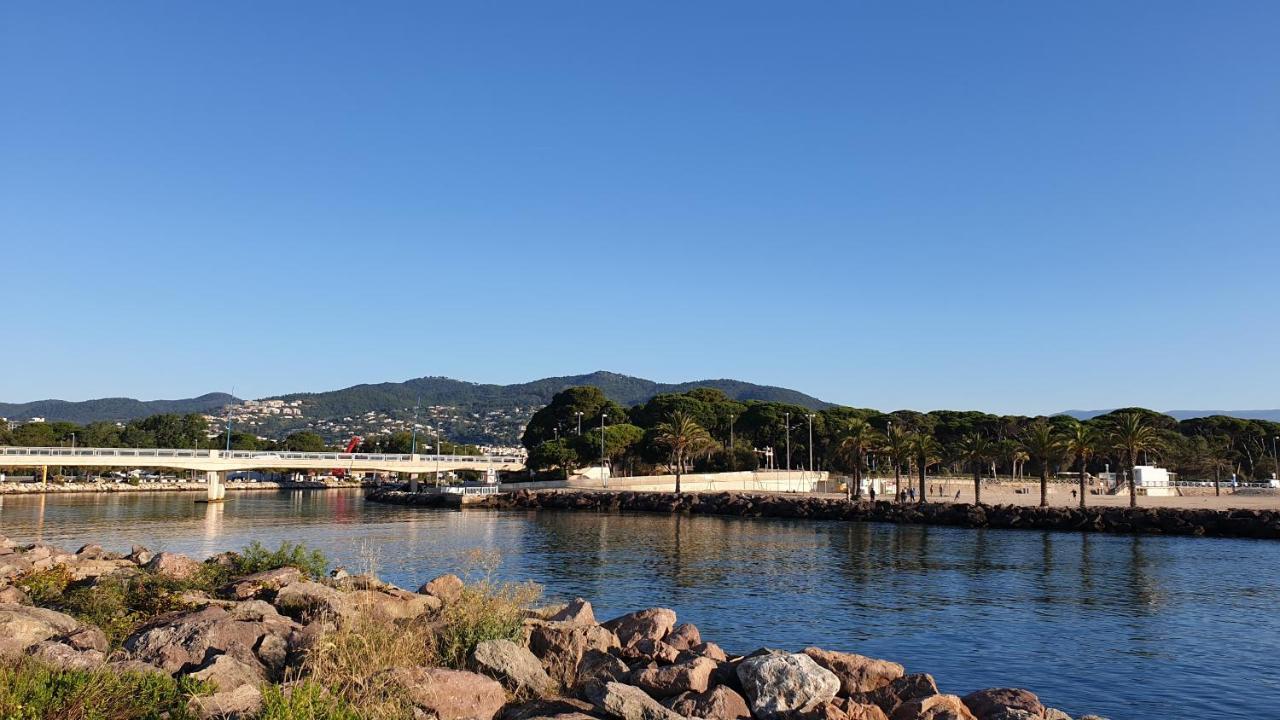Apartment Garden And Sea View Cannes